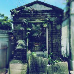 Lafayette No 1, ferns have taken a hold