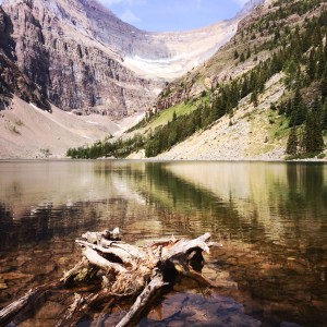 Lake Agnes in early July 