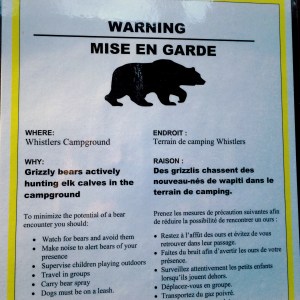 Grizzley bears are actively hunting elk calves in the campground. WHAT!