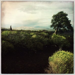 A windswept scene on top of the Inferno Cone.
